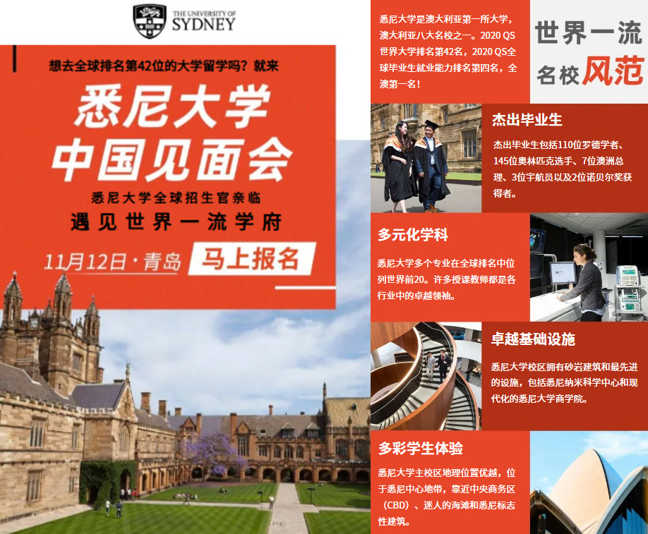 USYD China Landing page and USP